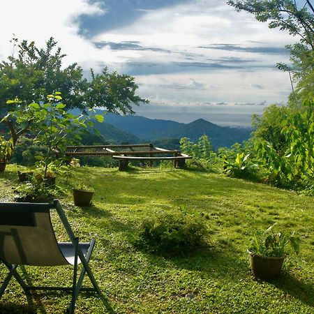 Hostal Vista Verde Minca Εξωτερικό φωτογραφία
