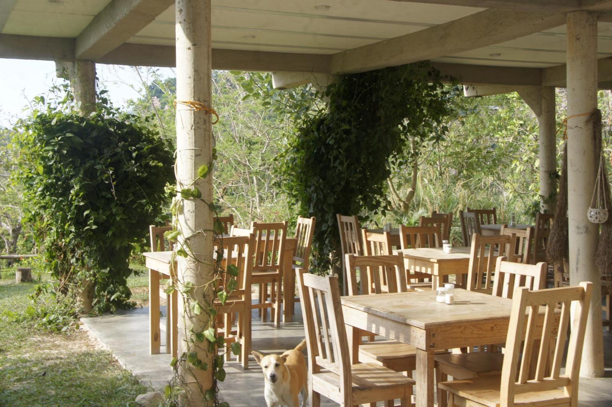 Hostal Vista Verde Minca Εξωτερικό φωτογραφία